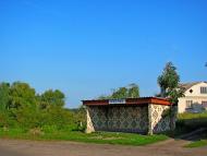 Кустин з panoramio.com