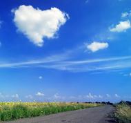 Придніпрянське з panoramio.com