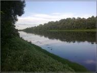 Бужанка з panoramio.com