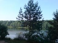 Стригани з panoramio.com - Стриганы
