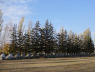 Мілове з panoramio.com