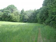 Мала Стружка з panoramio.com