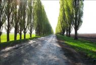 Малківка з panoramio.com