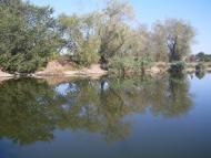 Златоустівка з panoramio.com