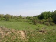 Залужжя з panoramio.com