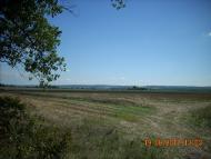 Копанки з panoramio.com