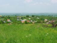 Гринів з panoramio.com