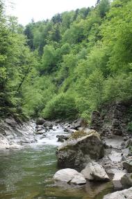 Буківцьово з panoramio.com