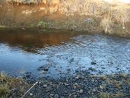 І СВІТАЄ, І СМЕРКАЄ