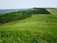 Гаї-Дітковецькі з panoramio.com