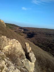 Курортне з panoramio.com