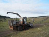 Розсохувата - Останні фото