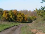 Грушівка з panoramio.com