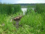 Нехворощ з panoramio.com