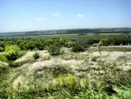 Денежникове з panoramio.com