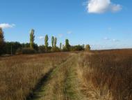 Льгів з panoramio.com