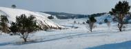 Велика Бугаївка з panoramio.com - Великая Бугаевка