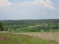 Нечаївка з panoramio.com - Нечаевка