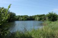 Селезнівка з panoramio.com - Селезневка
