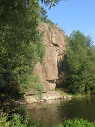 Шершні з panoramio.com