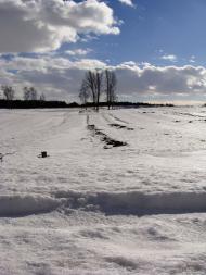 Зоря з panoramio.com