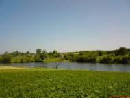 Вишняківка з panoramio.com