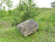 Паївка з panoramio.com