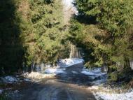 Привільне з panoramio.com