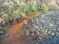 І СВІТАЄ, І СМЕРКАЄ