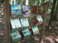 Привільне з panoramio.com