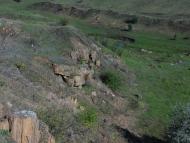 Данилова Балка з panoramio.com