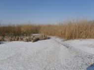 Оржиця з panoramio.com