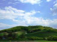 Лука з panoramio.com