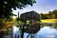 Сосонка з panoramio.com