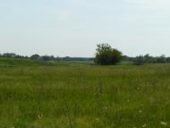 Шмідта з panoramio.com