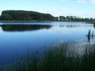 Безіменне з panoramio.com