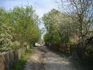 Пляхова з panoramio.com