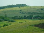 Березівка з panoramio.com