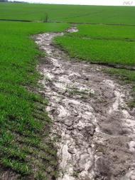 Сурсько-Литовське з panoramio.com