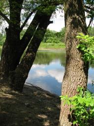 Чумакове з panoramio.com