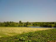 Вишняківка з panoramio.com