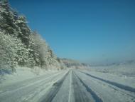 Саранчуки з panoramio.com