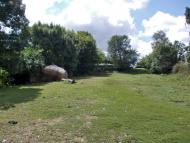 Троща з panoramio.com