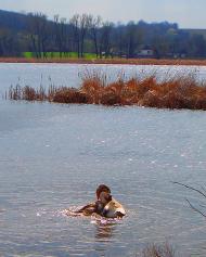 Шамраївка з panoramio.com