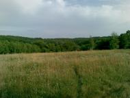 Велика Рибиця з panoramio.com