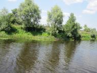 Березоточа з panoramio.com