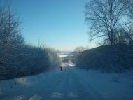 Квіткове з panoramio.com