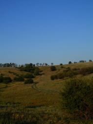 Придніпрянське з panoramio.com