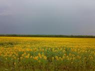 Чугинка - Останні фото