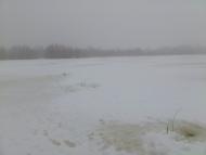 Старик з panoramio.com